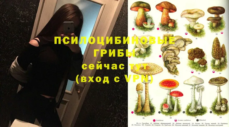 Галлюциногенные грибы Magic Shrooms  купить наркотик  Россошь 